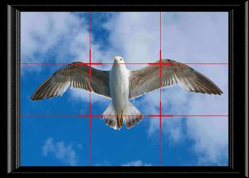 How-to-take-better-pictures-1